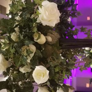 Meet your Posher, Fran